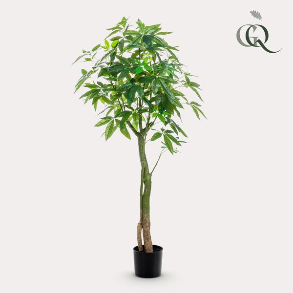 Kunstplant - Pachira Aquatica - Geldboom