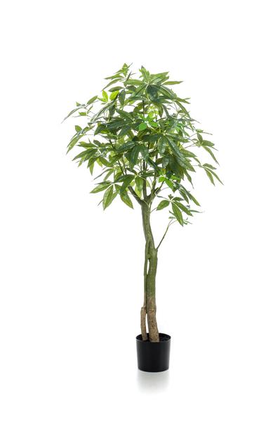 Kunstplant - Pachira Aquatica - Geldboom