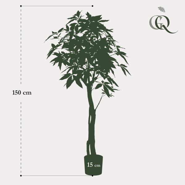 Kunstplant - Pachira Aquatica - Geldboom