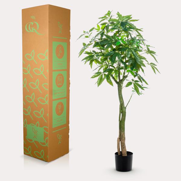Kunstplant - Pachira Aquatica - Geldboom
