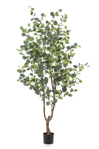 Kunstplant - Eucalyptus - Blauwe Gomboom  - 120 cm