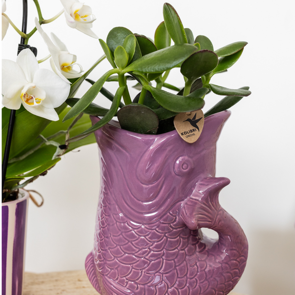 Fish  - Lilac - Ø9cm