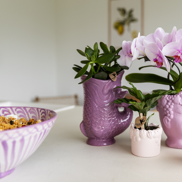 Fish  - Lilac - Ø9cm