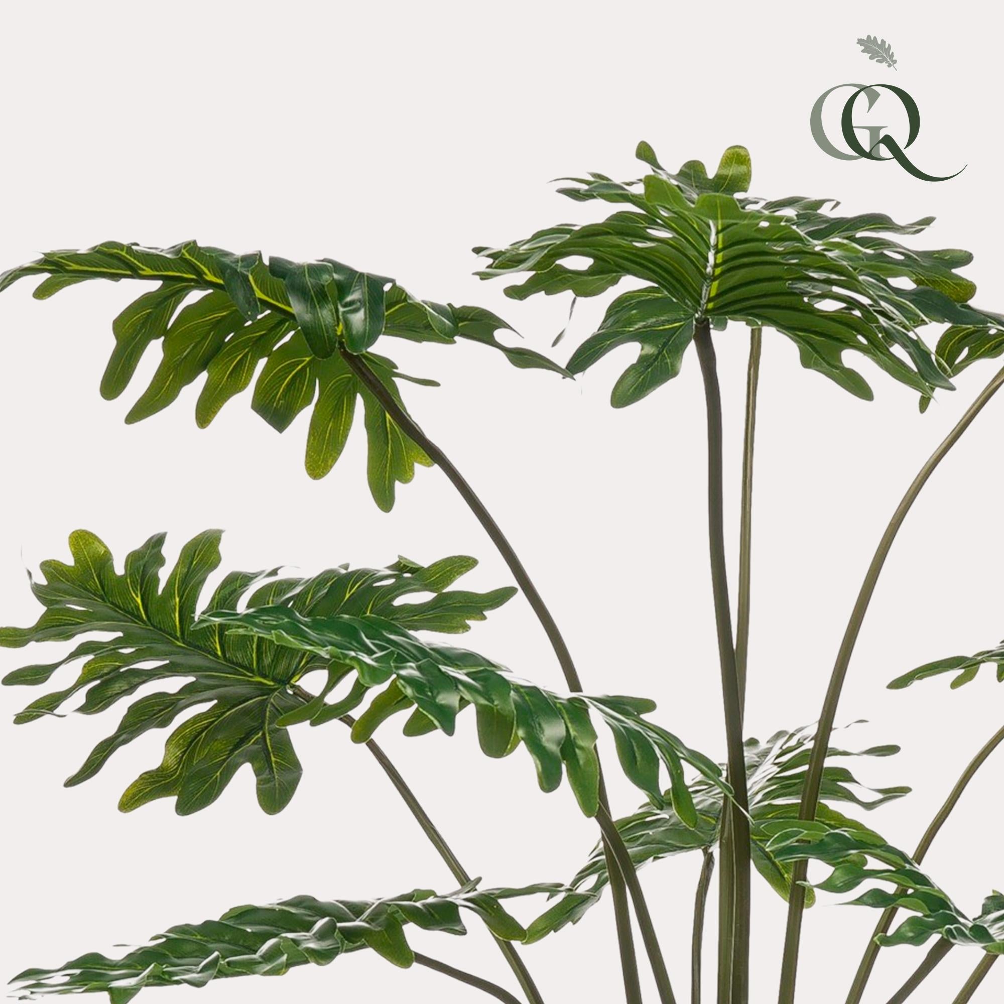 🌿 Waarom planten onmisbaar zijn in elk interieur – en hoe jij de perfecte vindt