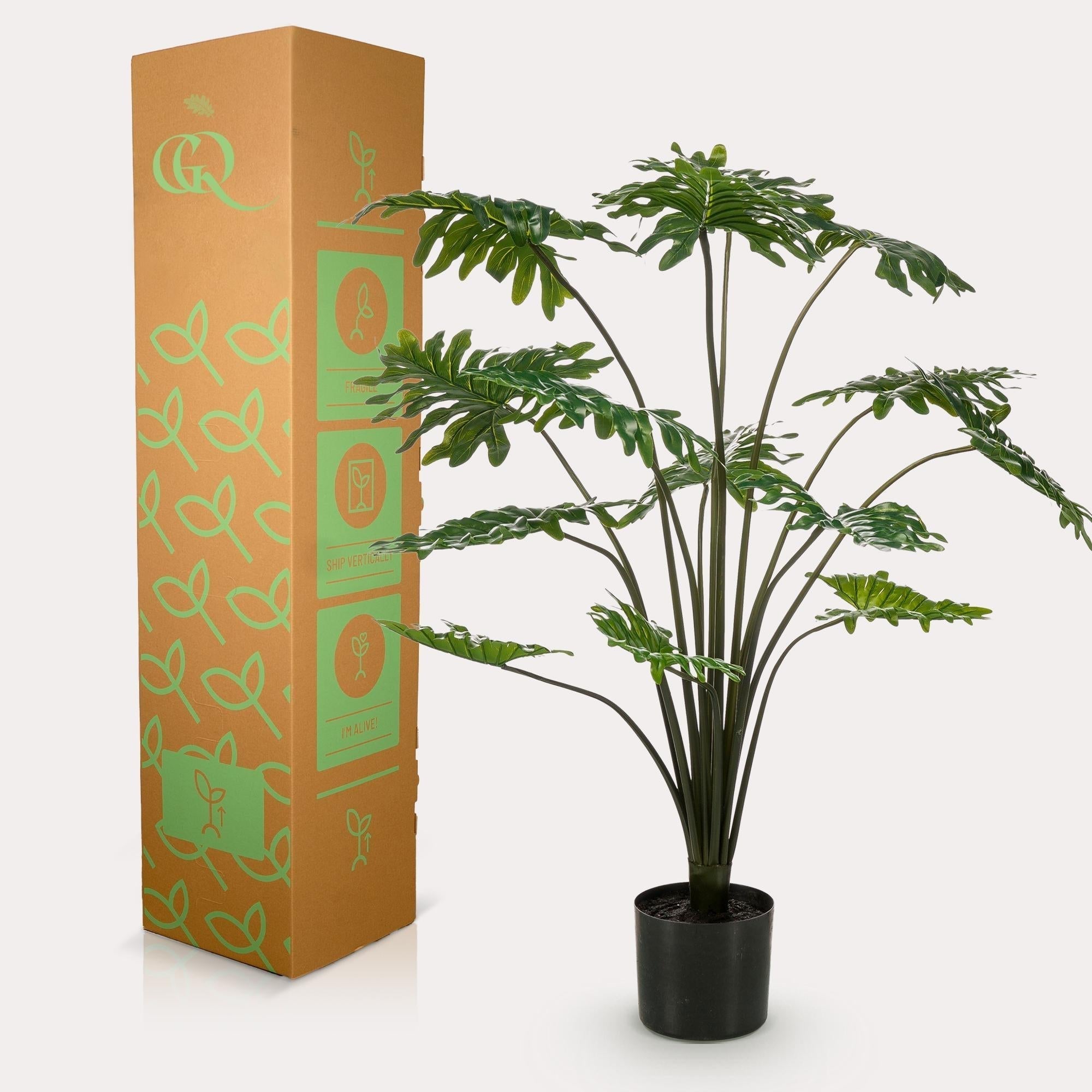 🌿 De Basis van Plantenverzorging: Zo hou je jouw planten gelukkig en gezond