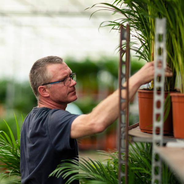 🌞 Planten voor volle zon: Groene Krachtpatsers die stralen in het licht