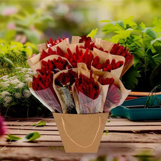 Droogbloemen - Dried Mono Mix - Red - ↕50cm