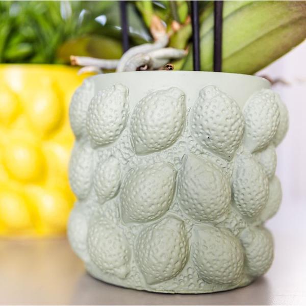 Citrus pot groen - Ø12cm