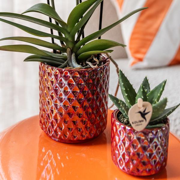Diamond pearl sierpot - Red - Ø9cm